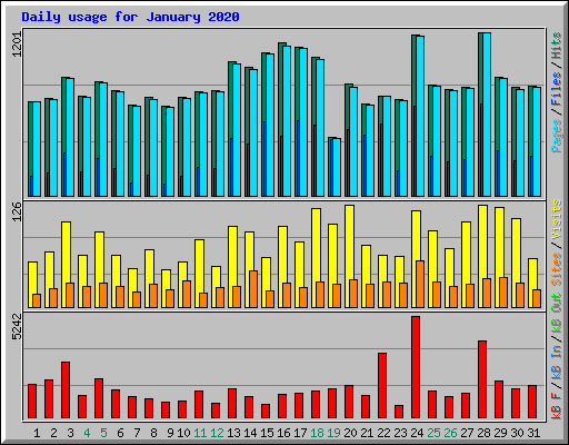 Daily usage for January 2020
