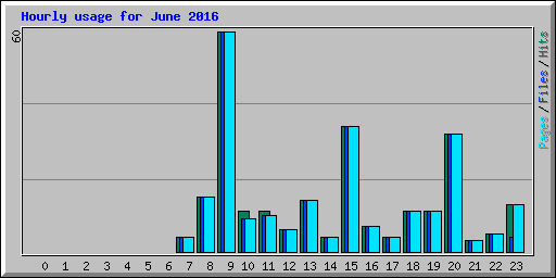 Hourly usage for June 2016