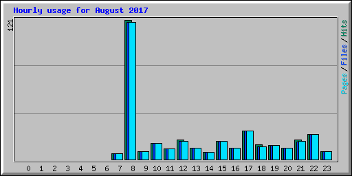 Hourly usage for August 2017