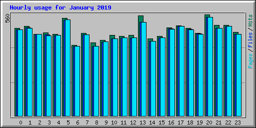 Hourly usage for January 2019