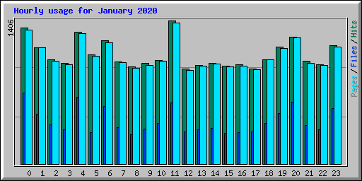 Hourly usage for January 2020
