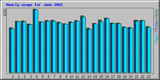 Hourly usage for June 2021