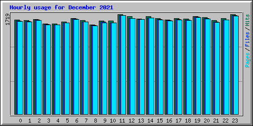 Hourly usage for December 2021