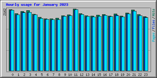 Hourly usage for January 2023