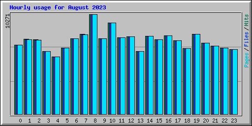 Hourly usage for August 2023