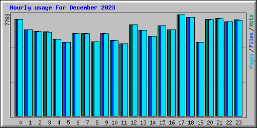 Hourly usage for December 2023