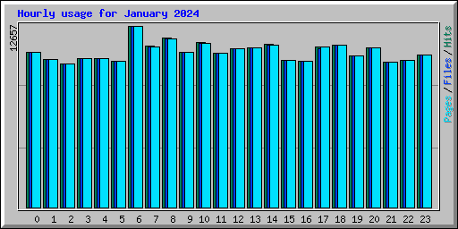 Hourly usage for January 2024