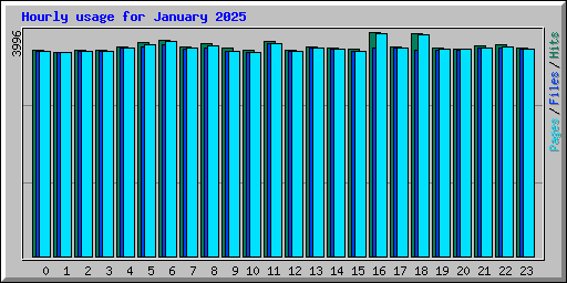 Hourly usage for January 2025