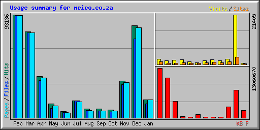 Usage summary for meico.co.za